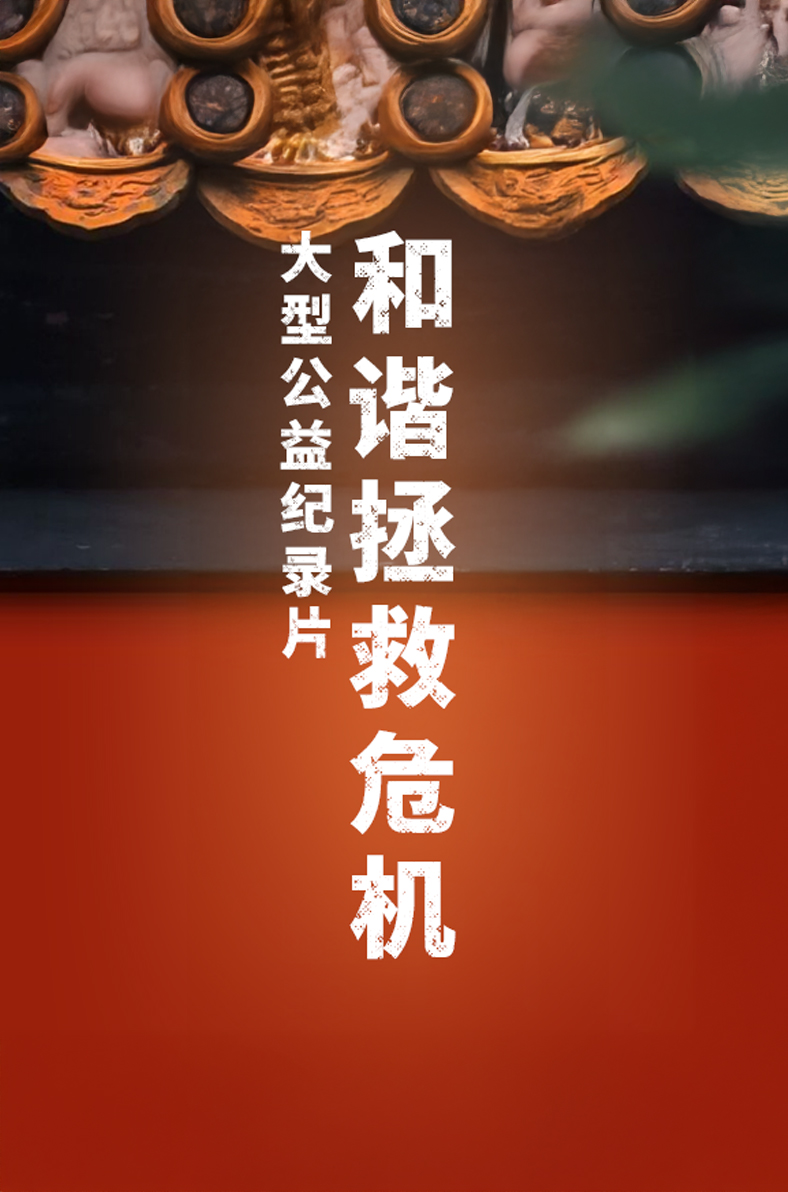 和谐拯救危机（大型公益纪录片）