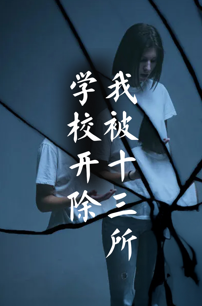 我被十三所学校开除
