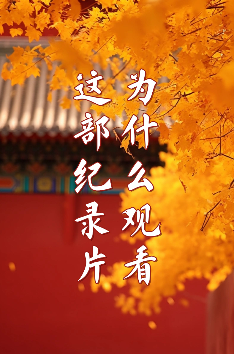 为什么观看这部纪录片