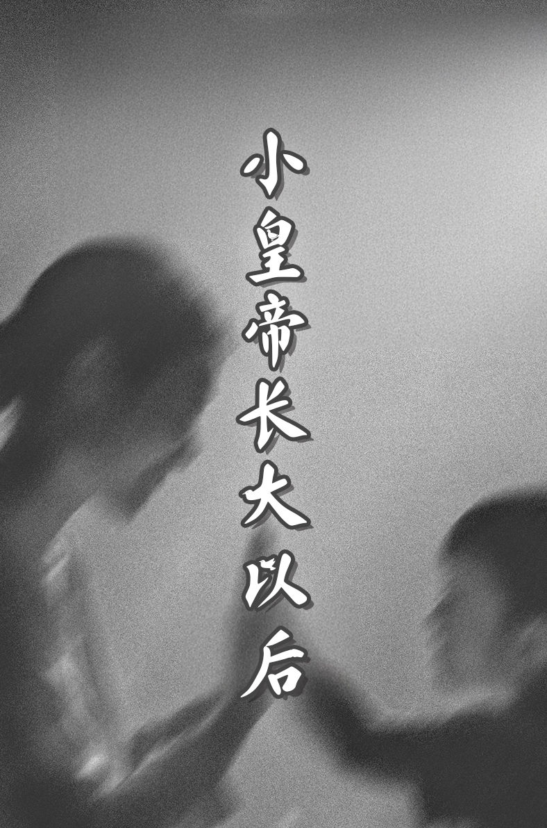 小皇帝长大以后