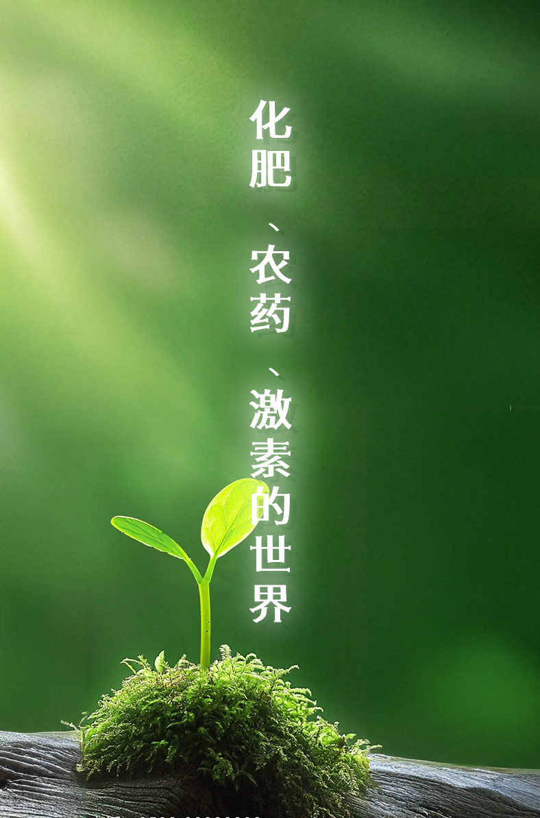 化肥、农药和激素的世界