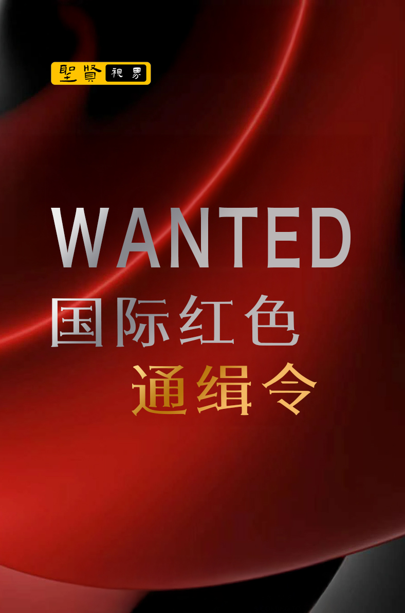 国际红色通缉令 (传统文化特别节目)
